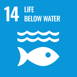 UN SDG 14 Life Below Water