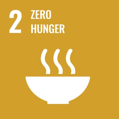 UN SDG 2 Zero Hunger