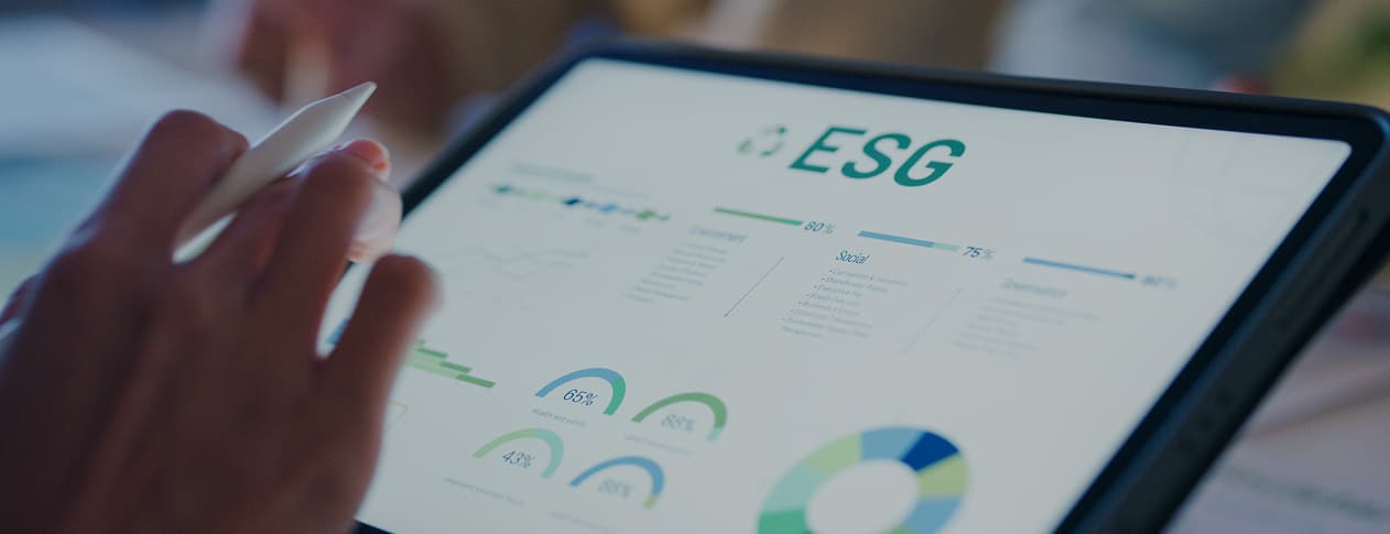 Sustainability Governance banner