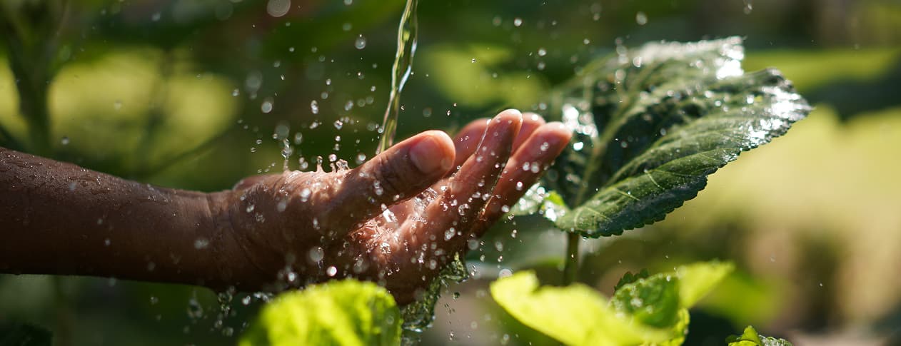 Water Stewardship